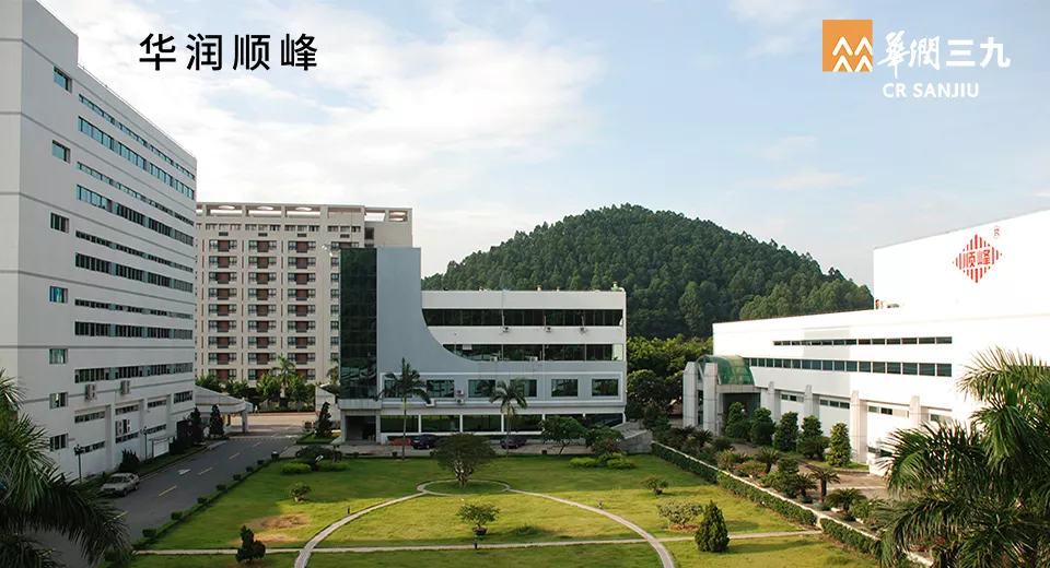 广东华润顺峰药业有限公司